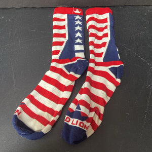 Boys USA Socks (Red Lion)