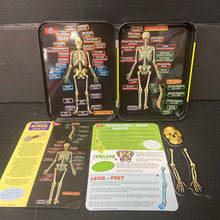 Load image into Gallery viewer, The Human Skeleton Magnetic Learning Activity
