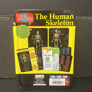 The Human Skeleton Magnetic Learning Activity