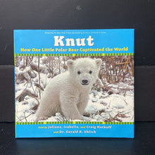 Load image into Gallery viewer, Knut: How One Little Polar Bear Captivated The World (Juliana, Isabella, and Craig Hatkoff &amp; Dr. Gerald R. Uhlich) -educational hardcover
