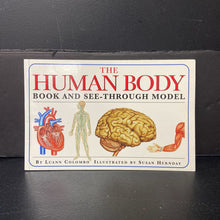 Load image into Gallery viewer, The Human Body Book (Luann Colombo) (Anatomy) -educational paperback
