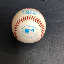 Load image into Gallery viewer, T-Ball Indoor/Outdoor Training Ball
