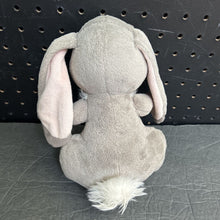 Load image into Gallery viewer, Clover the Bunny Plush
