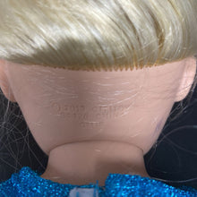 Load image into Gallery viewer, Doll in Sparkly Skirt &amp; Top
