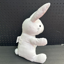 Load image into Gallery viewer, Bunny Plush
