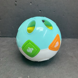 Musical Crawling Learning Ball Battery Operated