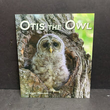 Load image into Gallery viewer, Otis the Owl (Mary Holland) (Birds) -educational paperback
