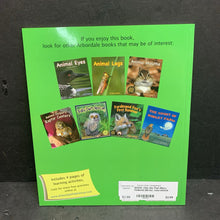 Load image into Gallery viewer, Otis the Owl (Mary Holland) (Birds) -educational paperback
