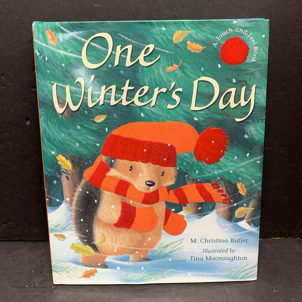 One Winter's Day (M. Christina Butler) (Season: Winter) -touch & feel hardcover