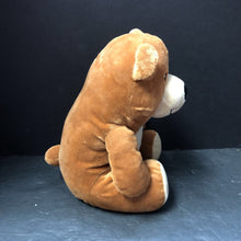 Load image into Gallery viewer, "Found" Bear Plush (Salina Yoon)
