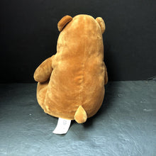 Load image into Gallery viewer, "Found" Bear Plush (Salina Yoon)
