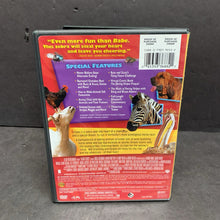 Load image into Gallery viewer, Racing Stripes-Movie
