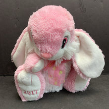 Load image into Gallery viewer, "2017" Bunny Plush
