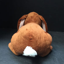 Load image into Gallery viewer, "Guess How Much I Love You" Rabbit Plush
