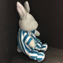 Load image into Gallery viewer, &quot;Goodnight Moon&quot; Bunny Plush (Margaret Wise Brown)
