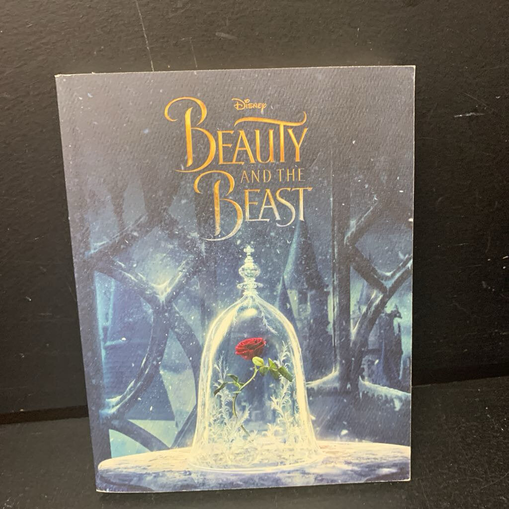 Beauty and the Beast (Disney Princess) (Elizabeth Rudnick) -character novelization chapter paperback