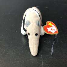Load image into Gallery viewer, Antsy the Anteater Teenie Beanie Baby
