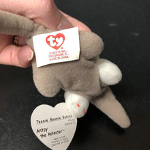 Load image into Gallery viewer, Antsy the Anteater Teenie Beanie Baby
