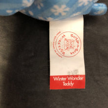 Load image into Gallery viewer, Winter Wonder Teddy Mini Bear

