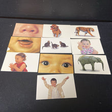 Load image into Gallery viewer, Word Flash Cards
