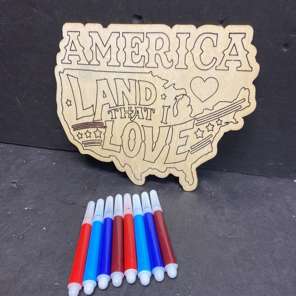 Wooden USA Craft Kit
