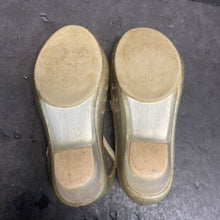 Load image into Gallery viewer, Cinderella Shoes
