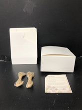 Load image into Gallery viewer, 11 Cupcake Boxes (NEW) (Moretoes)
