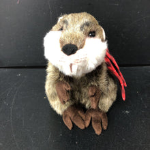 Load image into Gallery viewer, Angry Beaver Plush (Duluth Trading)
