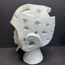 Load image into Gallery viewer, Tiger Kim&#39;s Martial Arts Headgear
