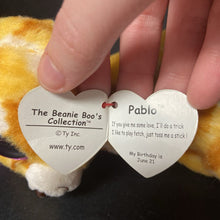 Load image into Gallery viewer, Pablo the Chihuahua Beanie Boo
