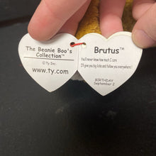 Load image into Gallery viewer, Brutus the Dog Beanie Boo
