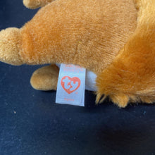 Load image into Gallery viewer, Squire the Squirrel Beanie Boo
