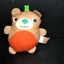 Load image into Gallery viewer, Bear Crinkle Rattle
