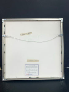 Andy Warhol "Daisy" c.1982 Framed Flower Print Picture