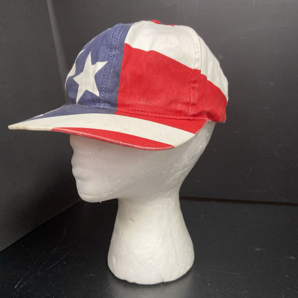 Boys USA Hat