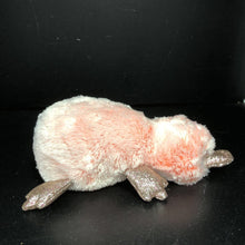 Load image into Gallery viewer, Wilma the Platypus Beanie Boo
