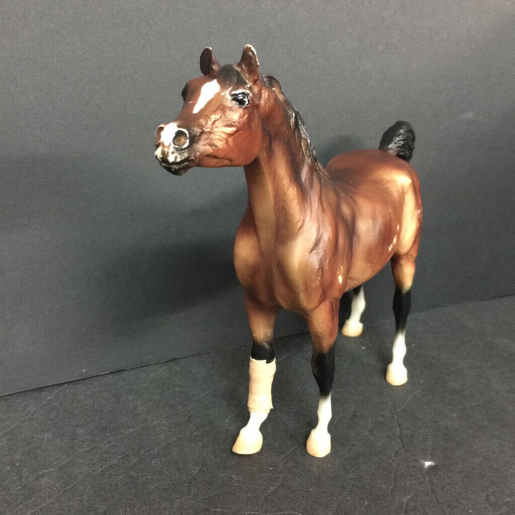 Arabian Horse
