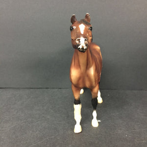 Arabian Horse