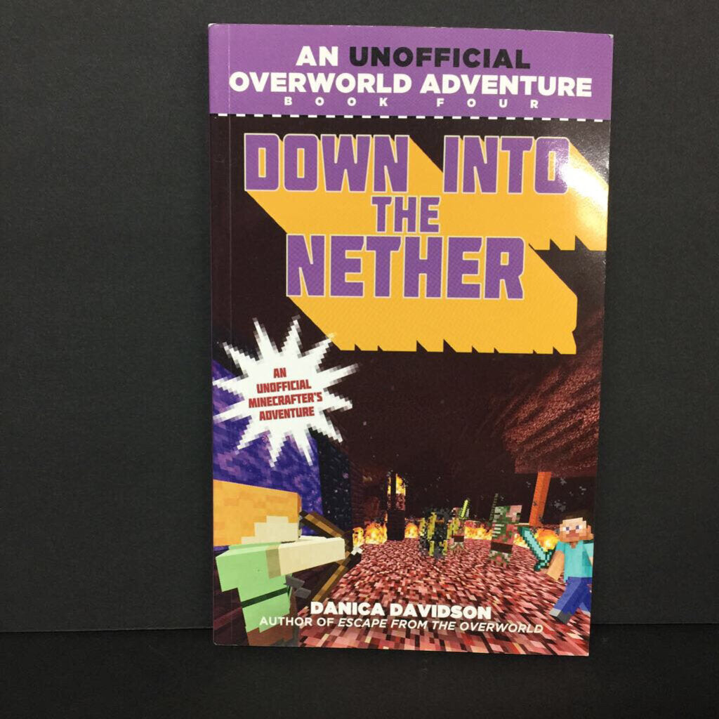 Down Into the Nether (Danica Davidson) (An Unofficial Overworld Adventure) (Minecraft) -character series paperback