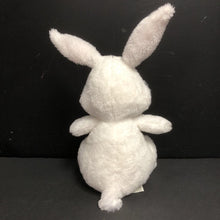 Load image into Gallery viewer, &quot;How to Catch the Easter Bunny&quot; Bunny Plush (Adam Wallace)
