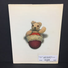Load image into Gallery viewer, Little Bear Lost (Jane Hissey) -hardcover

