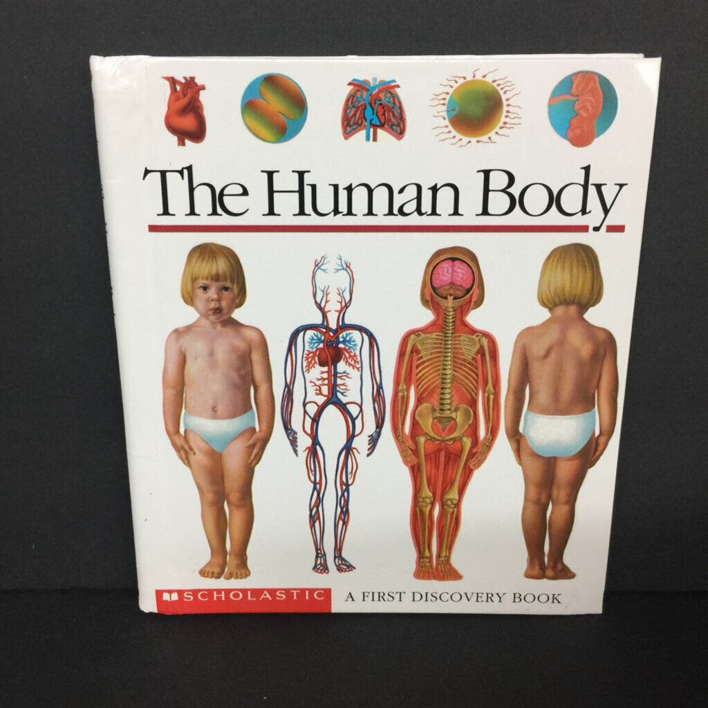The Human Body: A First Discovery Book (Sylvaine Perols) -educational hardcover