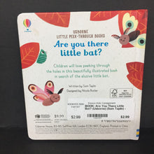 Load image into Gallery viewer, Are You There Little Bat? (Usborne) (Sam Taplin) -board
