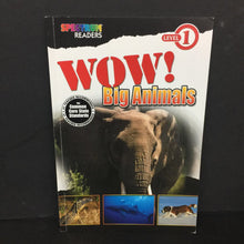 Load image into Gallery viewer, Wow! Big Animals (Spectrum Readers Level 1) (Katharine Kenah) (Mammals) -educational reader paperback
