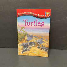 Load image into Gallery viewer, Turtles (All Aboard Science Reader Level 1) (Jodi Huelin) (Reptiles) -educational reader paperback
