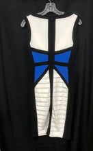 Load image into Gallery viewer, Colorblock Pleat Bodycon Dress (Jax)
