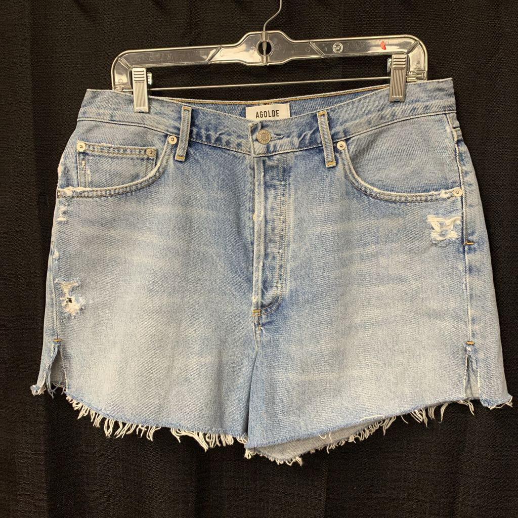 Dee Denim Shorts (Agolde)
