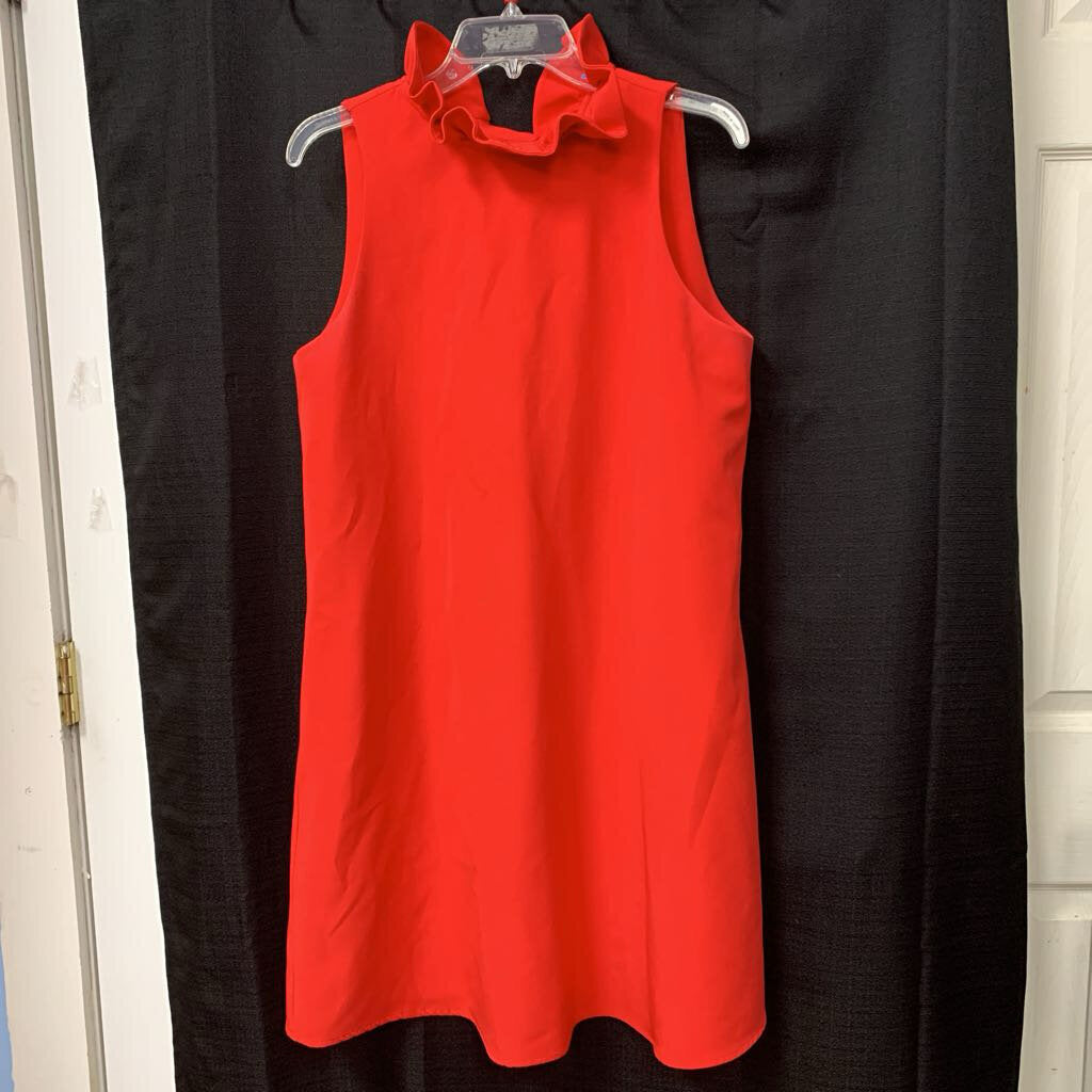 Blythe Ruffle Dress (Tuckernuck)