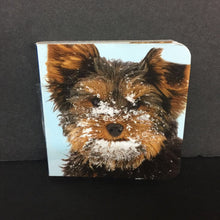 Load image into Gallery viewer, Winter Fun! -board
