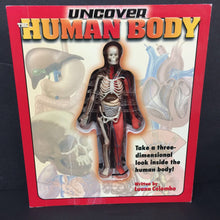 Load image into Gallery viewer, Uncover the Human Body (Luann Colombo) (Anatomy) -educational board
